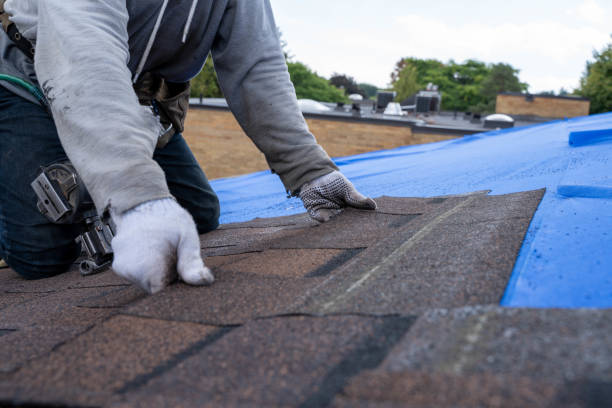Best Storm Damage Roof Repair  in Oxford, NC